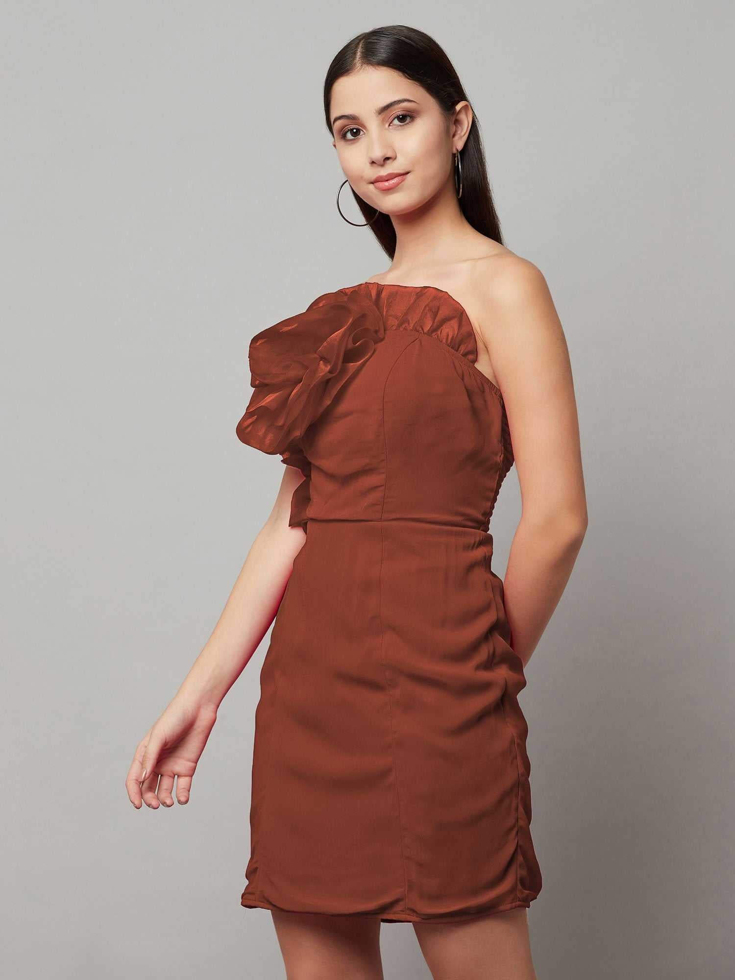 self portrait brown mini dress