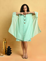 Attic Curves Pastel Green Dress With Placket Embellishment