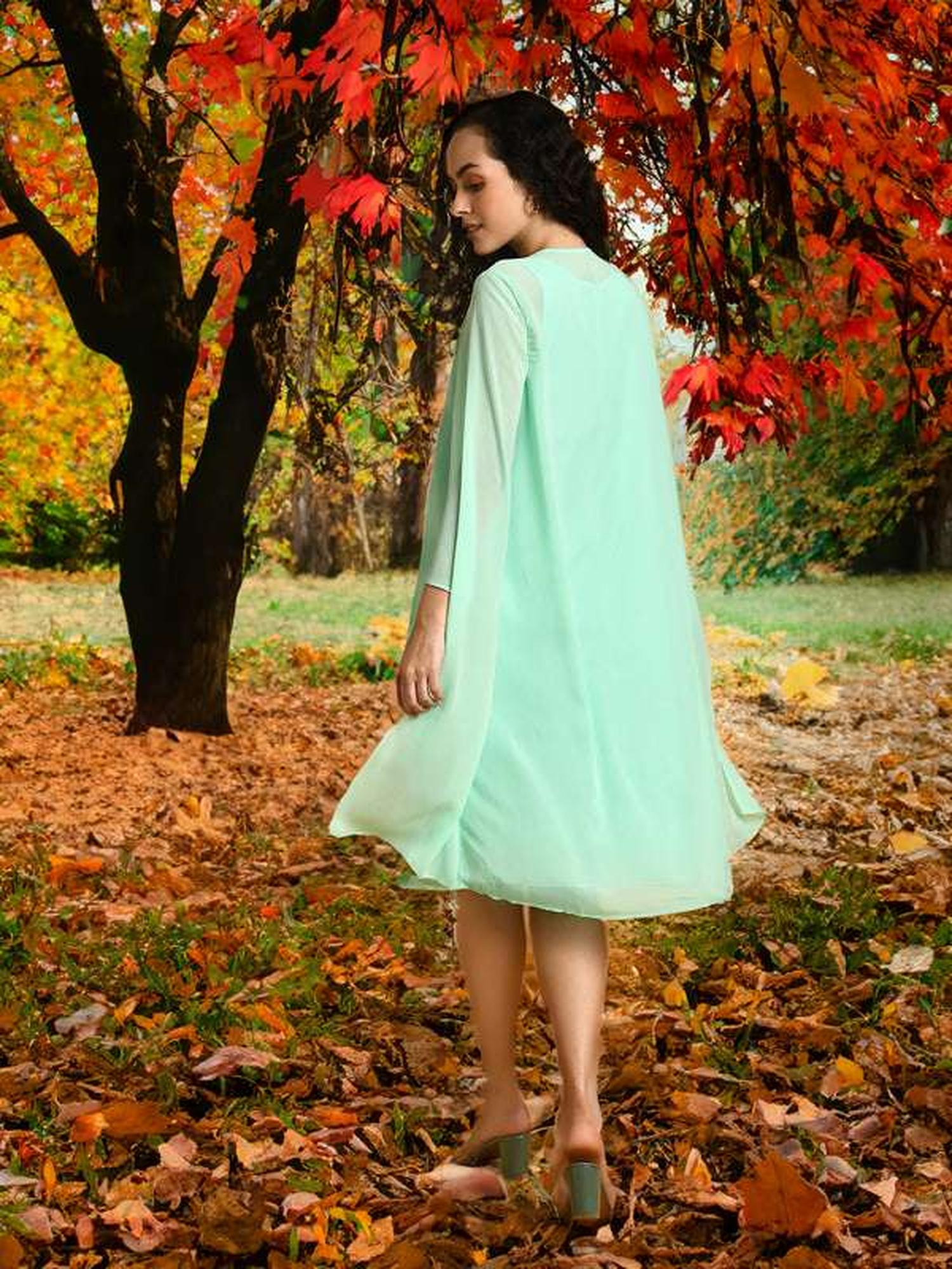 Pastel Green Dress With Placket Embellishment