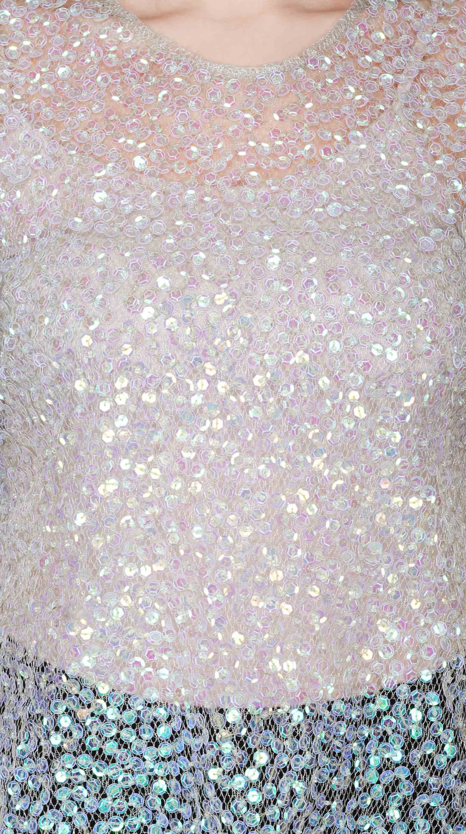 Attic Salt  D Rainbow Sequin Mesh Top